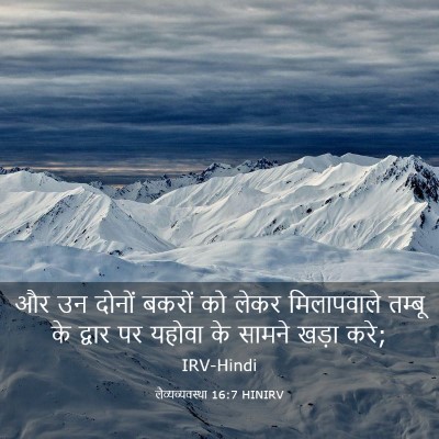 Picture 03 - लैव्यव्यवस्था 16:7 HINIRV - और उन दोनों बकरों - Bible Verse Picture