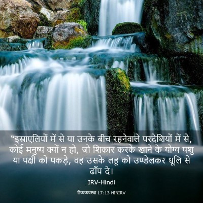 Picture 03 - लैव्यव्यवस्था 17:13 HINIRV - “इस्राएलियों में - Bible Verse Picture