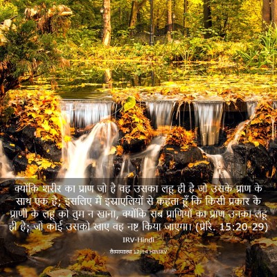 Picture 03 - लैव्यव्यवस्था 17:14 HINIRV - क्योंकि शरीर का - Bible Verse Picture