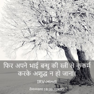 Picture 03 - लैव्यव्यवस्था 18:20 HINIRV - फिर अपने भाई बन्धु - Bible Verse Picture