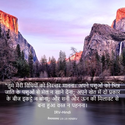 Picture 03 - लैव्यव्यवस्था 19:19 HINIRV - “तुम मेरी विधियों - Bible Verse Picture