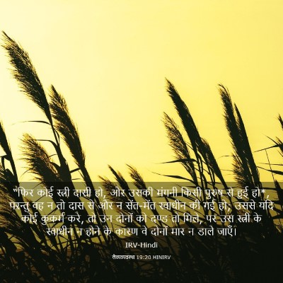 Picture 03 - लैव्यव्यवस्था 19:20 HINIRV - “फिर कोई स्त्री - Bible Verse Picture