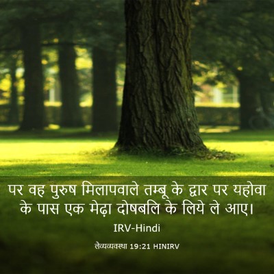 Picture 03 - लैव्यव्यवस्था 19:21 HINIRV - पर वह पुरुष - Bible Verse Picture