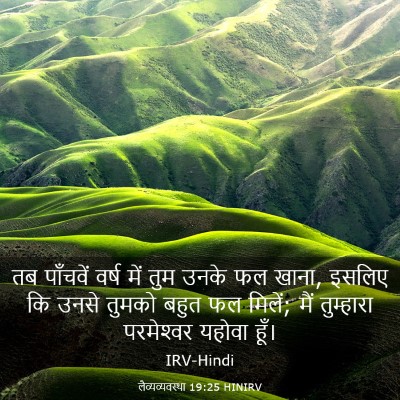 Picture 03 - लैव्यव्यवस्था 19:25 HINIRV - तब पाँचवें वर्ष - Bible Verse Picture