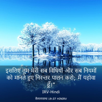 Picture 03 - लैव्यव्यवस्था 19:37 HINIRV - इसलिए तुम मेरी सब - Bible Verse Picture