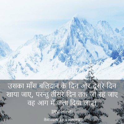 Picture 03 - लैव्यव्यवस्था 19:6 HINIRV - उसका माँस बलिदान - Bible Verse Picture