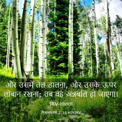 Picture 03 - लैव्यव्यवस्था 2:15 HINIRV - और उसमें तेल डालना, - Bible Verse Picture