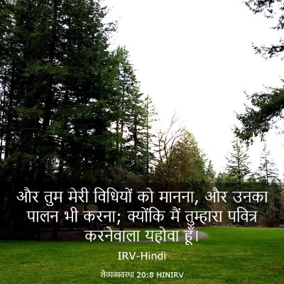 Picture 03 - लैव्यव्यवस्था 20:8 HINIRV - और तुम मेरी - Bible Verse Picture