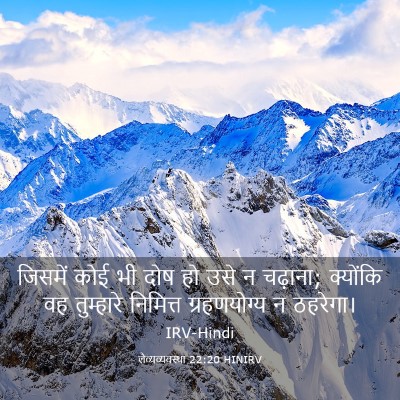 Picture 03 - लैव्यव्यवस्था 22:20 HINIRV - जिसमें कोई भी दोष - Bible Verse Picture
