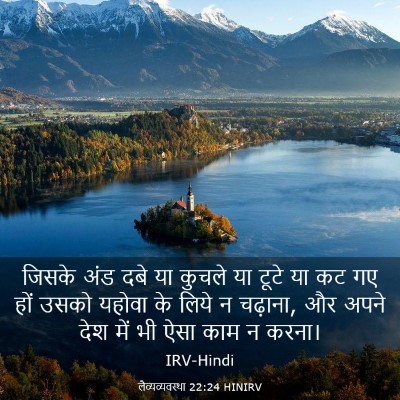 Picture 03 - लैव्यव्यवस्था 22:24 HINIRV - जिसके अंड दबे या - Bible Verse Picture