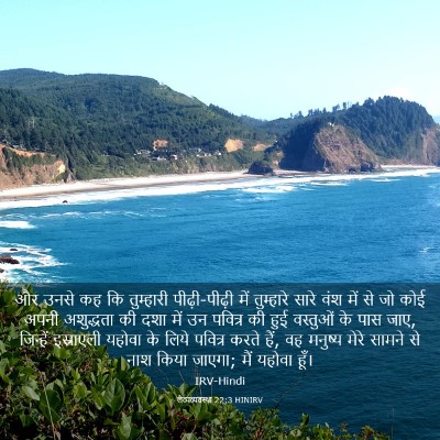 Picture 03 - लैव्यव्यवस्था 22:3 HINIRV - और उनसे कह कि - Bible Verse Picture