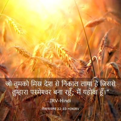 Picture 03 - लैव्यव्यवस्था 22:33 HINIRV - जो तुमको मिस्र देश - Bible Verse Picture