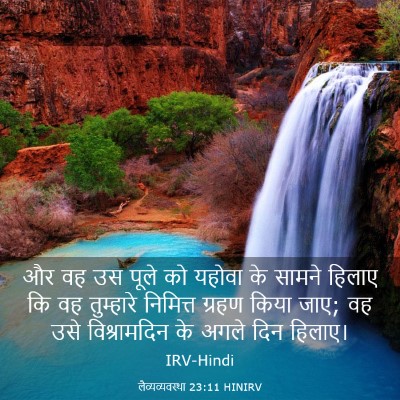 Picture 03 - लैव्यव्यवस्था 23:11 HINIRV - और वह उस पूले को - Bible Verse Picture