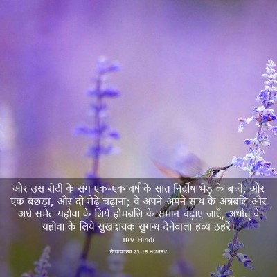 Picture 03 - लैव्यव्यवस्था 23:18 HINIRV - और उस रोटी के संग - Bible Verse Picture