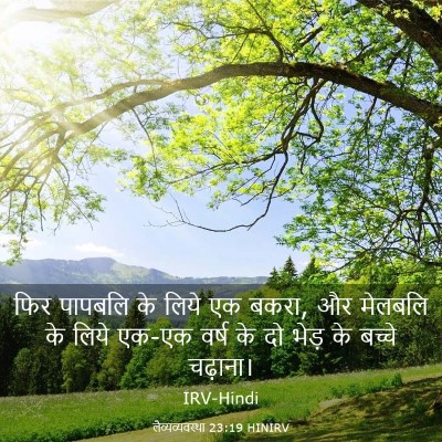 Picture 03 - लैव्यव्यवस्था 23:19 HINIRV - फिर पापबलि के लिये - Bible Verse Picture