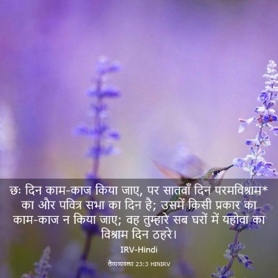 Picture 03 - लैव्यव्यवस्था 23:3 HINIRV - छः दिन काम-काज किया - Bible Verse Picture