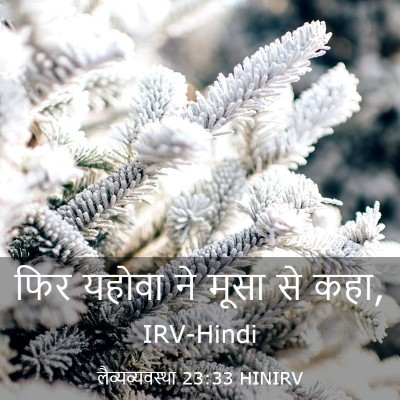 Picture 03 - लैव्यव्यवस्था 23:33 HINIRV - फिर यहोवा ने मूसा - Bible Verse Picture