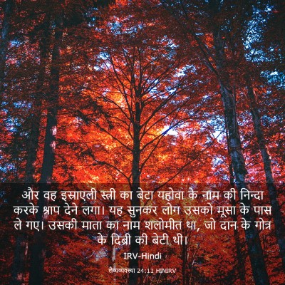 Picture 03 - लैव्यव्यवस्था 24:11 HINIRV - और वह इस्राएली - Bible Verse Picture