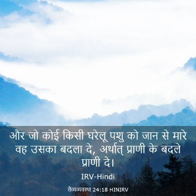 Picture 03 - लैव्यव्यवस्था 24:18 HINIRV - और जो कोई किसी - Bible Verse Picture