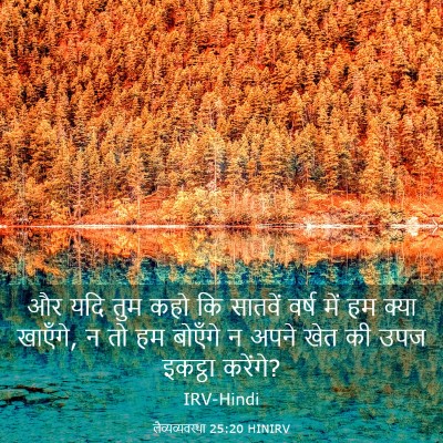 Picture 03 - लैव्यव्यवस्था 25:20 HINIRV - और यदि तुम कहो कि - Bible Verse Picture