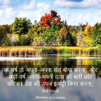 Picture 03 - लैव्यव्यवस्था 25:3 HINIRV - छः वर्ष तो - Bible Verse Picture