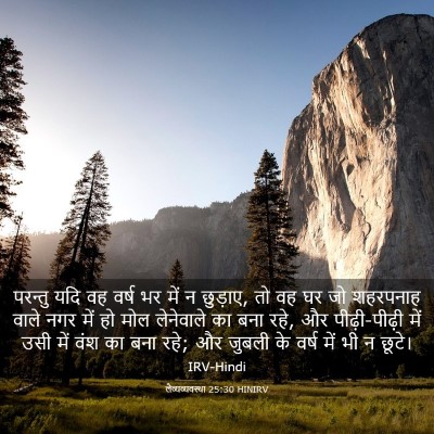 Picture 03 - लैव्यव्यवस्था 25:30 HINIRV - परन्तु यदि वह वर्ष - Bible Verse Picture