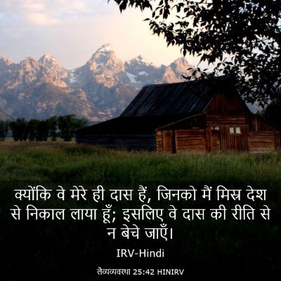 Picture 03 - लैव्यव्यवस्था 25:42 HINIRV - क्योंकि वे मेरे ही - Bible Verse Picture