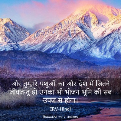 Picture 03 - लैव्यव्यवस्था 25:7 HINIRV - और तुम्हारे पशुओं - Bible Verse Picture