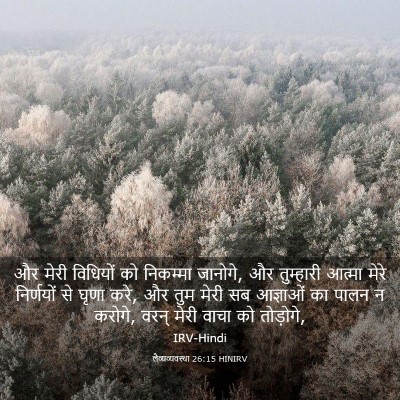 Picture 03 - लैव्यव्यवस्था 26:15 HINIRV - और मेरी विधियों को - Bible Verse Picture