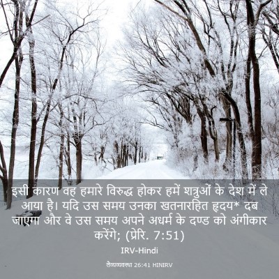 Picture 03 - लैव्यव्यवस्था 26:41 HINIRV - इसी कारण वह हमारे - Bible Verse Picture