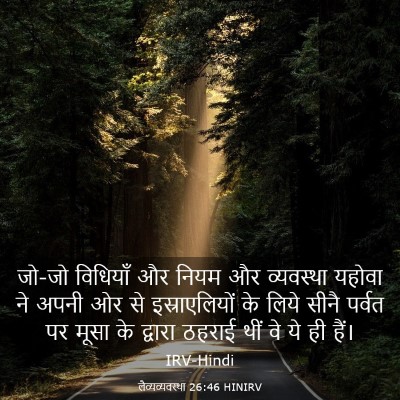 Picture 03 - लैव्यव्यवस्था 26:46 HINIRV - जो-जो विधियाँ और - Bible Verse Picture
