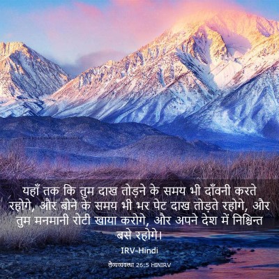 Picture 03 - लैव्यव्यवस्था 26:5 HINIRV - यहाँ तक कि तुम दाख - Bible Verse Picture