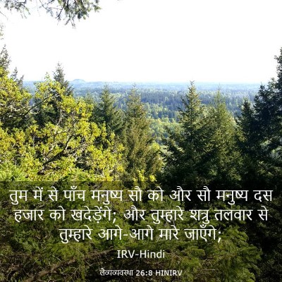 Picture 03 - लैव्यव्यवस्था 26:8 HINIRV - तुम में से पाँच - Bible Verse Picture