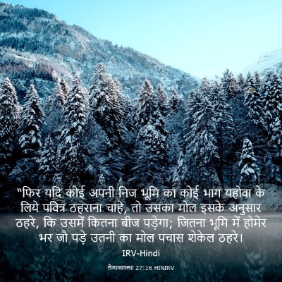 Picture 03 - लैव्यव्यवस्था 27:16 HINIRV - “फिर यदि कोई अपनी - Bible Verse Picture