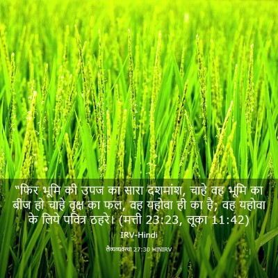 Picture 03 - लैव्यव्यवस्था 27:30 HINIRV - “फिर भूमि की उपज का - Bible Verse Picture