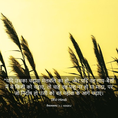 Picture 03 - लैव्यव्यवस्था 3:1 HINIRV - “यदि उसका चढ़ावा - Bible Verse Picture