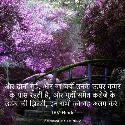 Picture 03 - लैव्यव्यवस्था 3:10 HINIRV - और दोनों गुर्दे, और - Bible Verse Picture
