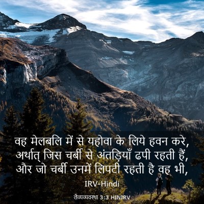 Picture 03 - लैव्यव्यवस्था 3:3 HINIRV - वह मेलबलि में से - Bible Verse Picture