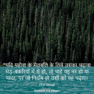 Picture 03 - लैव्यव्यवस्था 3:6 HINIRV - “यदि यहोवा के - Bible Verse Picture