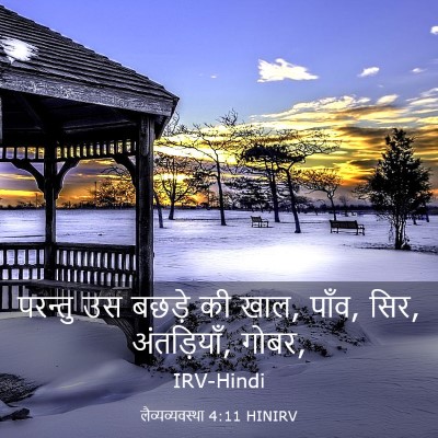 Picture 03 - लैव्यव्यवस्था 4:11 HINIRV - परन्तु उस बछड़े की - Bible Verse Picture