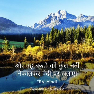 Picture 03 - लैव्यव्यवस्था 4:19 HINIRV - और वह बछड़े की कुल - Bible Verse Picture