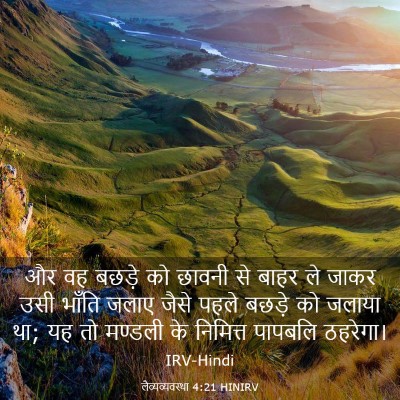 Picture 03 - लैव्यव्यवस्था 4:21 HINIRV - और वह बछड़े को - Bible Verse Picture
