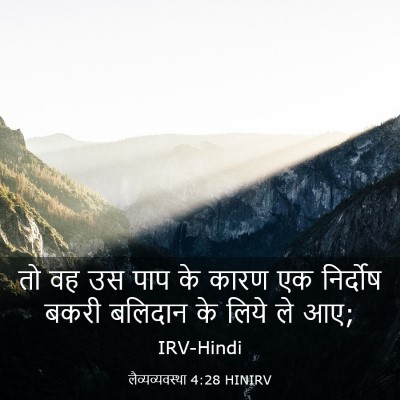 Picture 03 - लैव्यव्यवस्था 4:28 HINIRV - तो वह उस पाप के - Bible Verse Picture