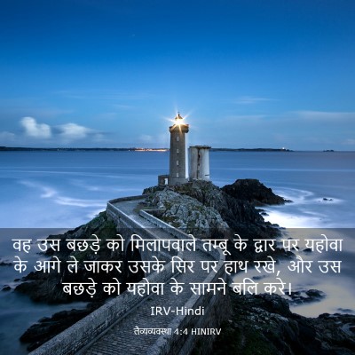 Picture 03 - लैव्यव्यवस्था 4:4 HINIRV - वह उस बछड़े को - Bible Verse Picture