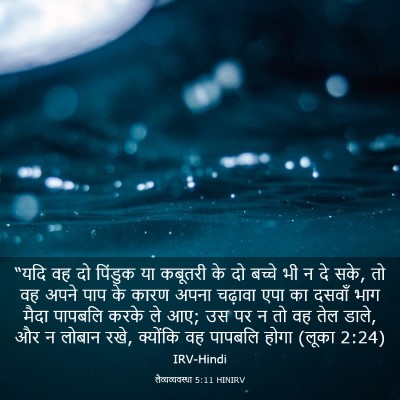 Picture 03 - लैव्यव्यवस्था 5:11 HINIRV - “यदि वह दो पिंडुक - Bible Verse Picture