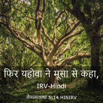 Picture 03 - लैव्यव्यवस्था 5:14 HINIRV - फिर यहोवा ने मूसा - Bible Verse Picture