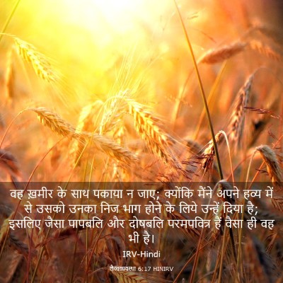 Picture 03 - लैव्यव्यवस्था 6:17 HINIRV - वह ख़मीर के साथ - Bible Verse Picture