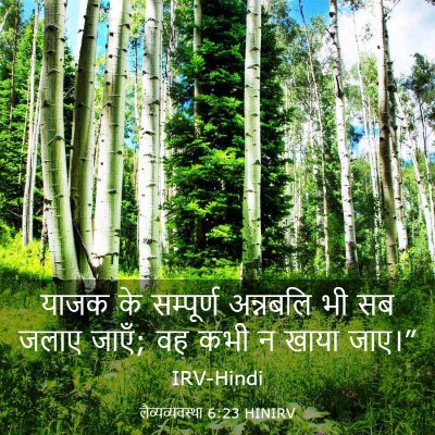 Picture 03 - लैव्यव्यवस्था 6:23 HINIRV - याजक के सम्पूर्ण - Bible Verse Picture