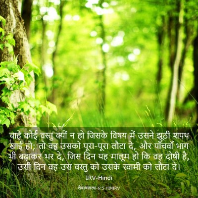 Picture 03 - लैव्यव्यवस्था 6:5 HINIRV - चाहे कोई वस्तु - Bible Verse Picture