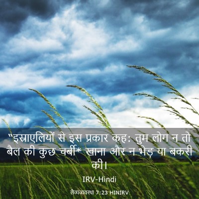 Picture 03 - लैव्यव्यवस्था 7:23 HINIRV - “इस्राएलियों से - Bible Verse Picture